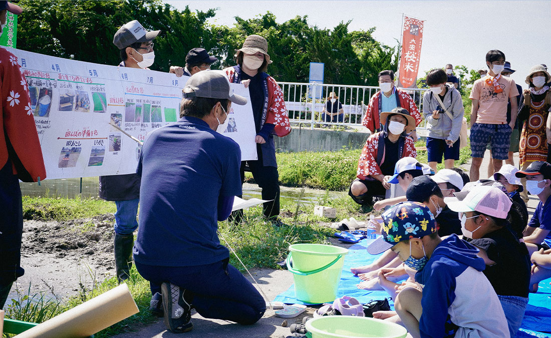 田植えの様子